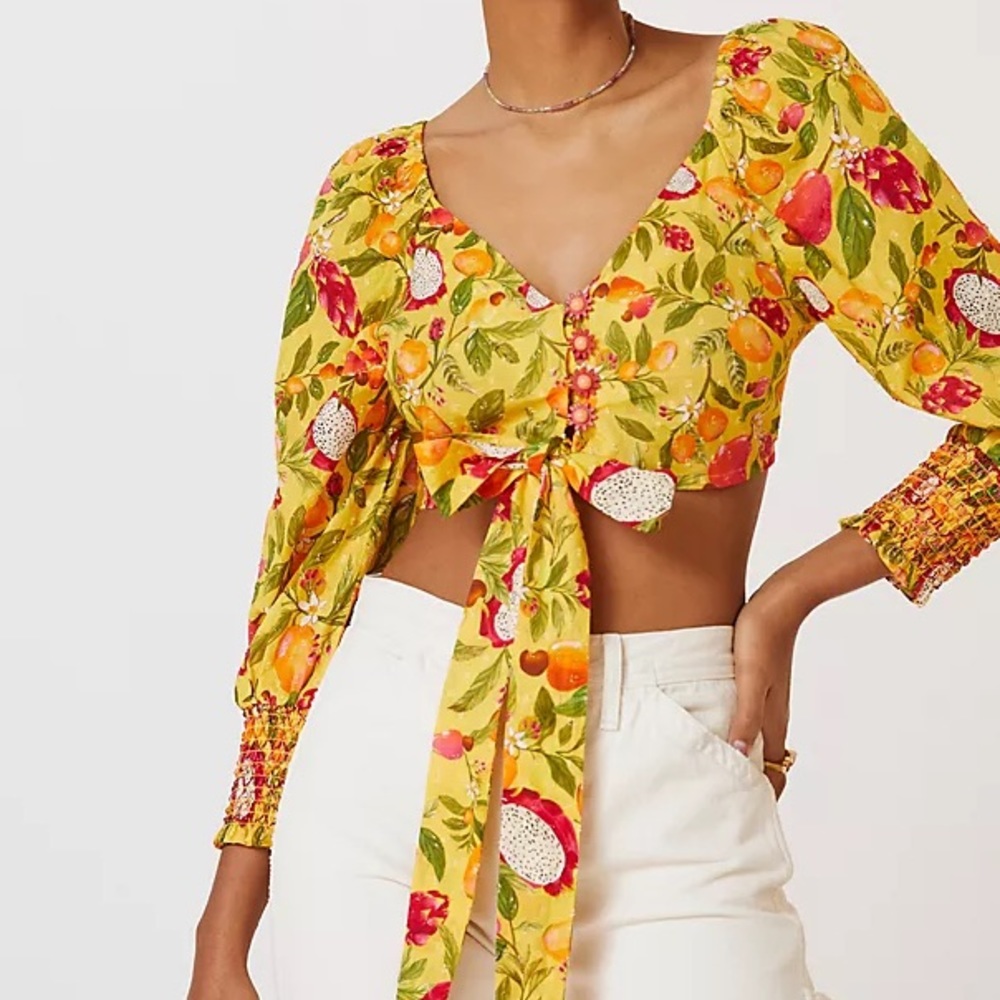 FARM RIO Deep V Tie Waist Cropped Long Sleeve Top (NWT)